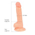 Loving Joy Realistic Dildo with Balls and Suction Cup 6 inch