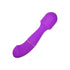 Loving Joy DUA Interchangeable Vibrator with 2 Attachments