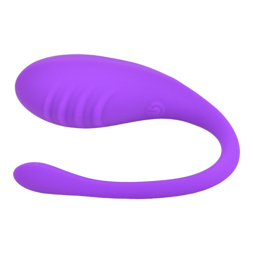 Loving Joy Remote Controlled Love Egg Vibrator