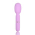 Nauti Petites 10 Speed Wand Vibrator