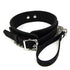 Bound to Please Silicone Collar and Lead Set