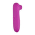 Loving Joy 10 Function Clitoral Suction Vibrator